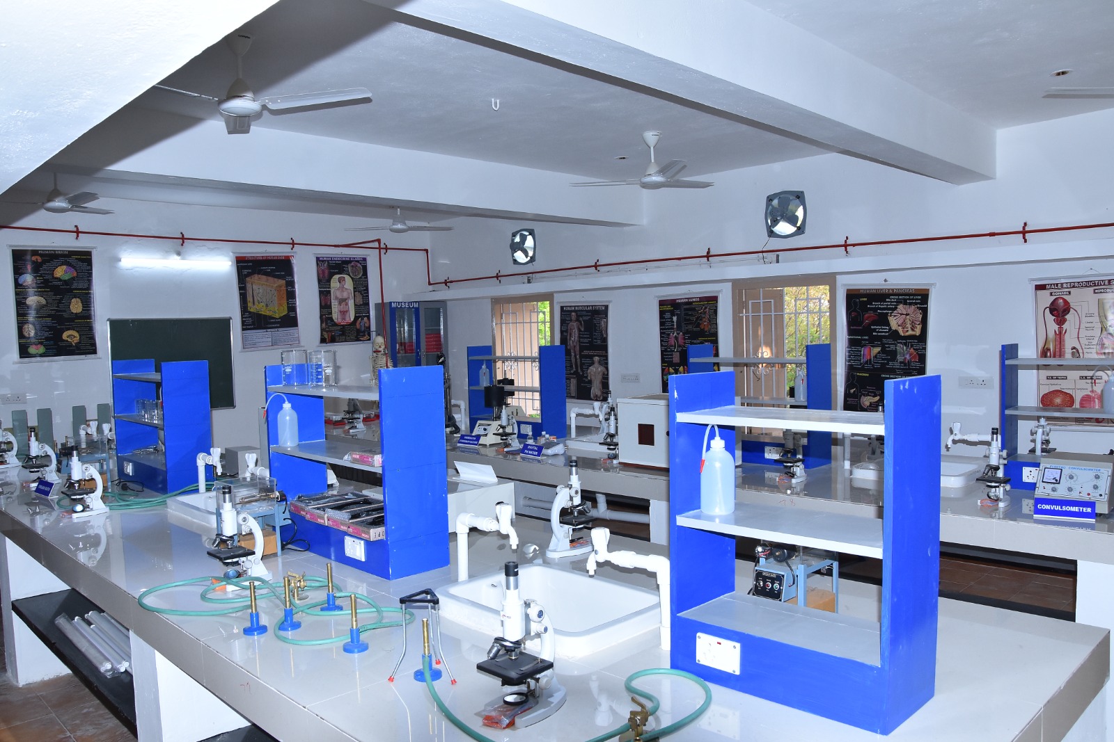 Mahatma Gandhi College of Pharmacy